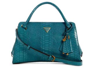 Georgina Girlfriend Satchel: Editor’s Pick and Style Guide news-01102024-202038