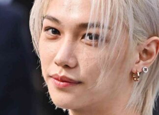 Stray Kids’ Felix Absence at Louis Vuitton Show Explained news-01102024-205232