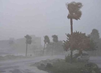 news-11102024-054312