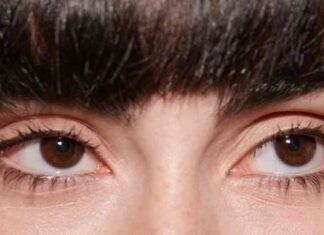 news-12102024-055947