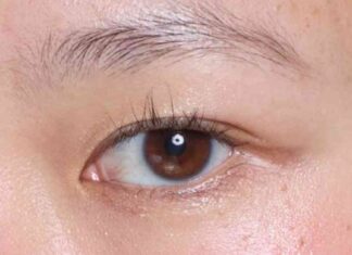 news-14102024-151302