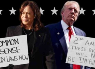 news-24102024-000529