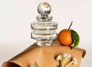 news-24102024-061709