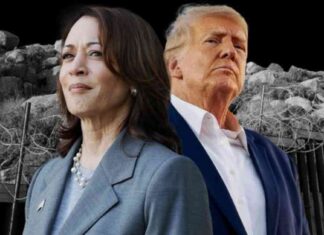 Comparison of Kamala Harris and Donald Trump’s Immigration Policies news-25102024-002516