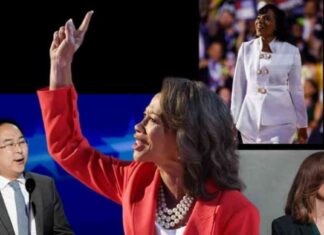 news-08112024-164218