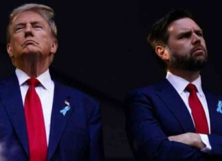 news-08112024-224704