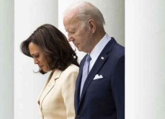 news-09112024-165625