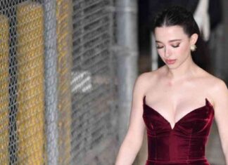 news-17112024-065830