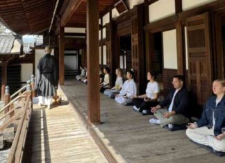 news-21112024-114417