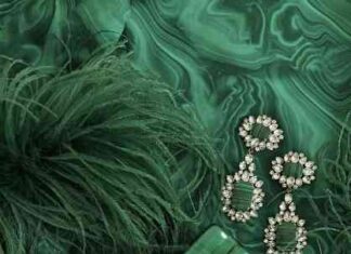 news-21112024-235127