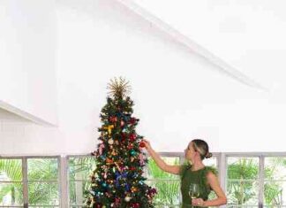 news-25112024-225854