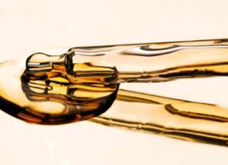 news-27112024-050851