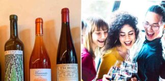 Exploring the Popularity and Quality of Natural Wines: A Comprehensive Guide exploring-the-popularity-and-quality-of-natural-wines-a-comprehensive-guide