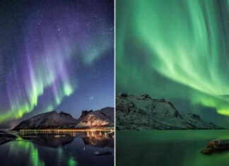 exploring-night-tourism-trends-in-2025-what-you-need-to-know