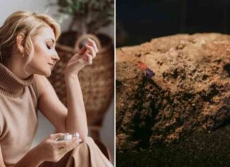 from-gross-to-gorgeous-scientists-transform-fetid-fatbergs-into-useful-resources