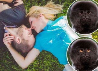 How Your Eye Features Can Impact Others’ Perception and Behavior how-your-eye-features-can-mpact-others-perception-and-behavior