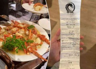 outraged-woman-slams-chinese-restaurant-for-380-bill-on-45-pound
