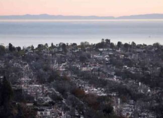 rebuilding-los-angeles-after-wildfires-tips-and-strategies