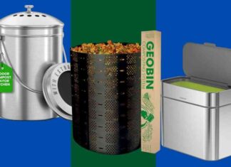 nyc-composting-mandate-best-bins-and-tips-for-success