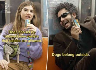 nyc-pet-friendly-policies-dogs-vs-babies