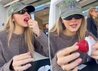 the-most-expensive-strawberry-ever-bought