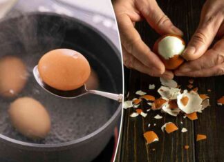 ultimate-guide-perfecting-boiled-eggs-with-scientific-precision