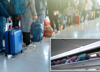 demand-for-airlines-to-control-gate-lice-behavior