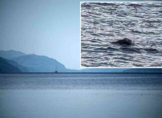 rare-loch-ness-monster-sighting-reported-first-in-years