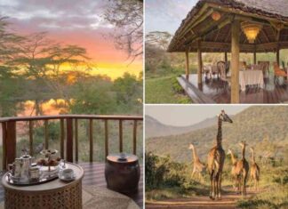 luxury-safari-experience-at-finch-hattons-wild-at-heart