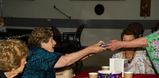 pexels photo 12085742