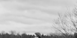 60s Guys Fashion: Uncover Timeless Styles That Define Elegance pexels photo 14552612