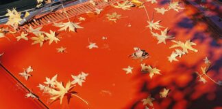 Maple Old Fashioned Recipe: Discover the Secret to Perfection