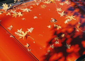 Maple Old Fashioned Recipe: Discover the Secret to Perfection