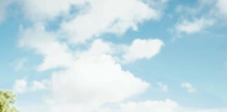 pexels photo 17204109