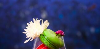 Old Fashioned Christmas Candy: Discover Timeless Treats Today! pexels photo 30410846