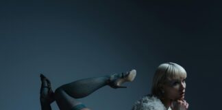 pexels photo 31077079