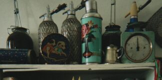 pexels photo 32023520