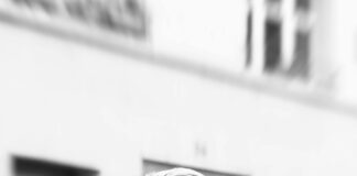 pexels photo 32251870