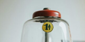 pexels photo 3800799