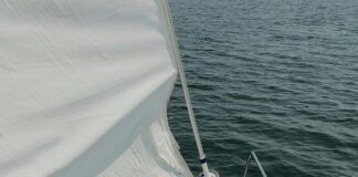 Vessel Loop in the Pott’s Fashion: Unlocking Its Surgical Secrets pexels photo 4348787