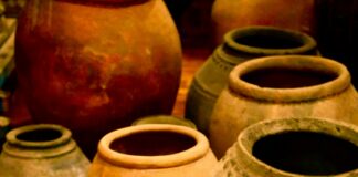 Circling Vessels in the Pots Fashion: Discover This Unique Technique pexels photo 5190010