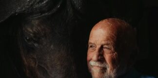 Buffalo Trace Old Fashioned: Discover The Perfect Recipe Today pexels photo 8172813