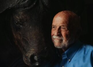 Buffalo Trace Old Fashioned: Discover The Perfect Recipe Today