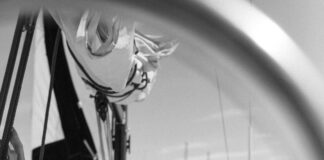 pexels photo 8647611