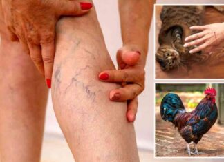 revealed-forensic-pathologist-exposes-the-worst-ways-people-can-die