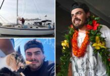 sailor-quits-job-to-travel-with-cat-viral-oregon-mans-journey-to