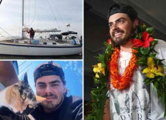 sailor-quits-job-to-travel-with-cat-viral-oregon-mans-journey-to