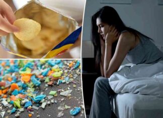 the-dangers-of-microplastics-in-junk-food