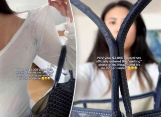 top-fashion-lovers-claim-2000-designer-purse-melts-find-out-why