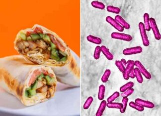 warning-chicken-and-bacon-ranch-wraps-public-health-alert